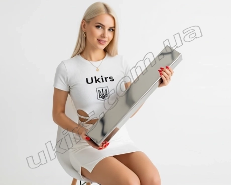 Труба нержавіюча 80х30х1,5 мм 600 GRIT AISI 201