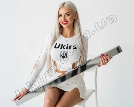 Труба нержавіюча 40х20х2 мм 600 GRIT AISI 304