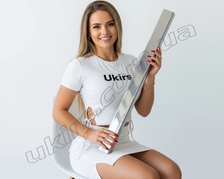 Труба нержавіюча 40х20х1.2 мм 600 GRIT (дзеркально полірована) AISI 201