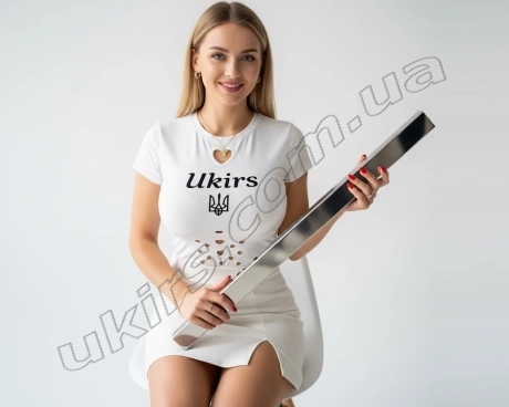 Stainless steel pipe 30x15x1.5 mm 600 GRIT AISI 304