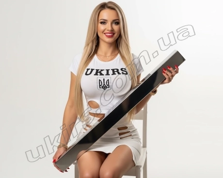 Труба нержавіюча 60х20х1,5 мм 600 GRIT AISI 304