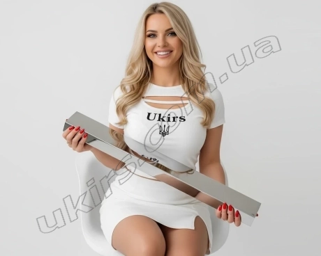 Труба нержавіюча 60х30х2 мм 600 GRIT AISI 304